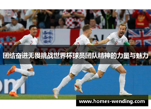 团结奋进无畏挑战世界杯球员团队精神的力量与魅力