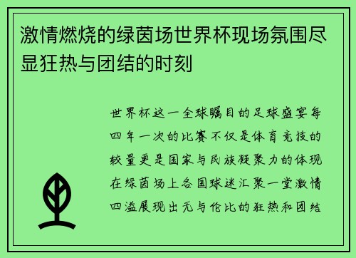 激情燃烧的绿茵场世界杯现场氛围尽显狂热与团结的时刻