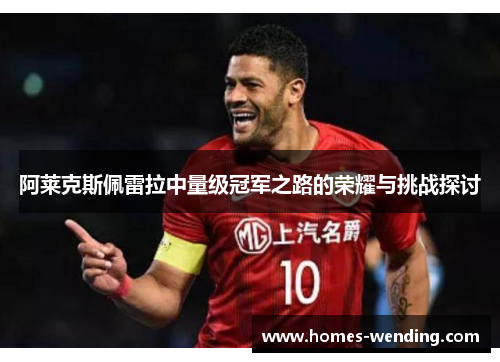 阿莱克斯佩雷拉中量级冠军之路的荣耀与挑战探讨