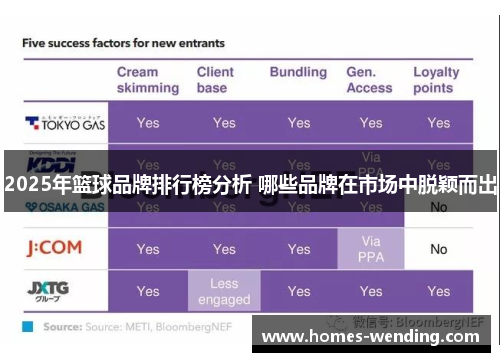2025年篮球品牌排行榜分析 哪些品牌在市场中脱颖而出