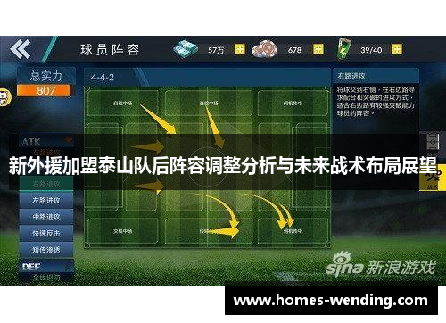 新外援加盟泰山队后阵容调整分析与未来战术布局展望