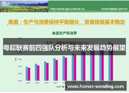 粤超联赛前四强队分析与未来发展趋势展望