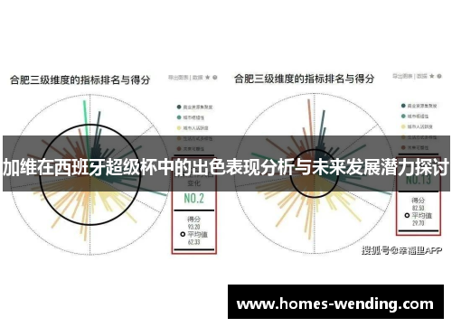 加维在西班牙超级杯中的出色表现分析与未来发展潜力探讨