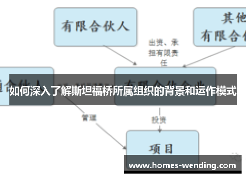 如何深入了解斯坦福桥所属组织的背景和运作模式