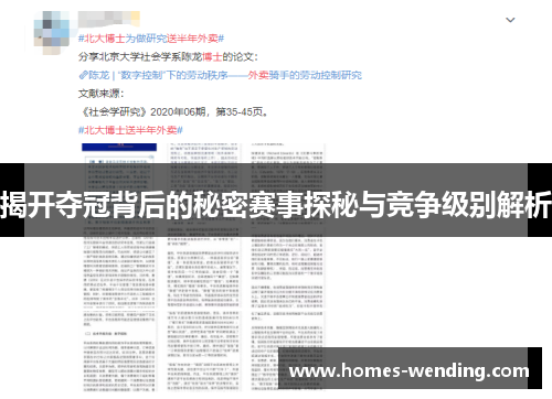 揭开夺冠背后的秘密赛事探秘与竞争级别解析