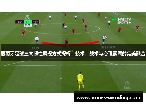 葡萄牙足球三大韧性展现方式探析：技术、战术与心理素质的完美融合